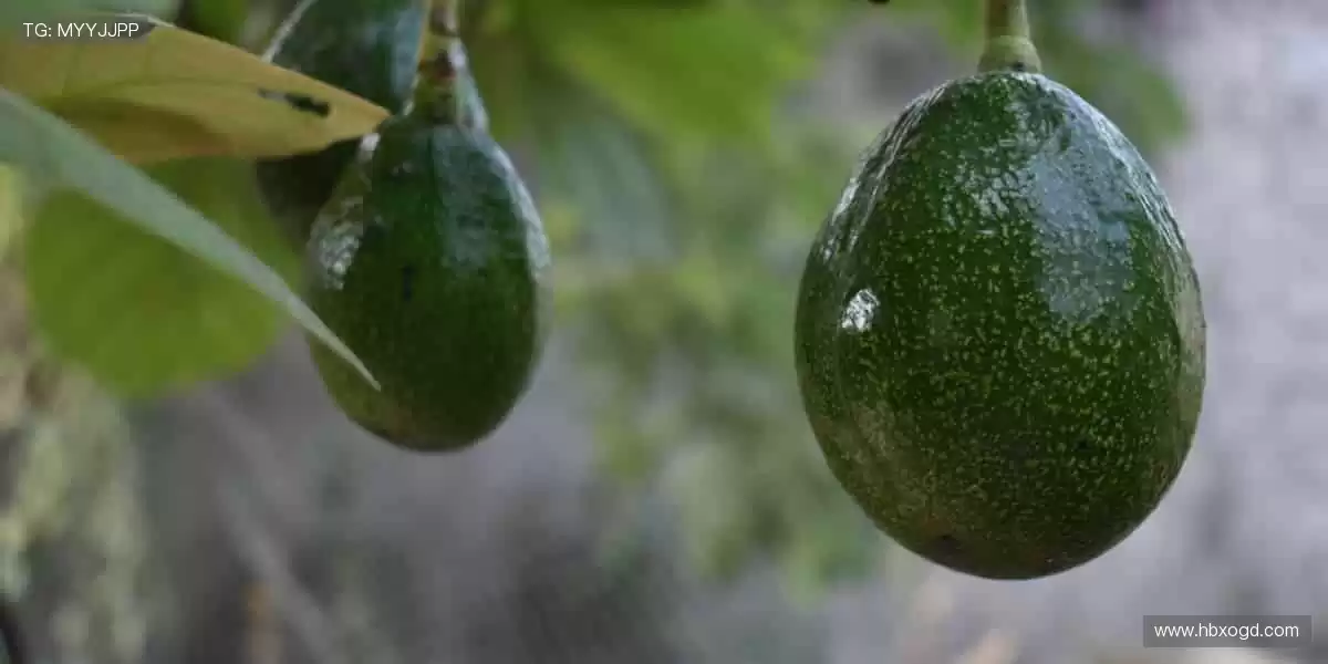 🎁 周边好物，解锁你的运动 DNA！